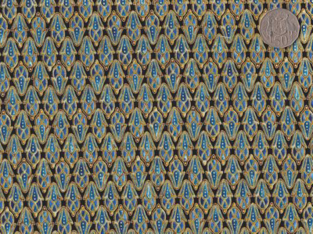 106004 Passage to India by Leesa Chandler Colour 11825-201 100% cotton