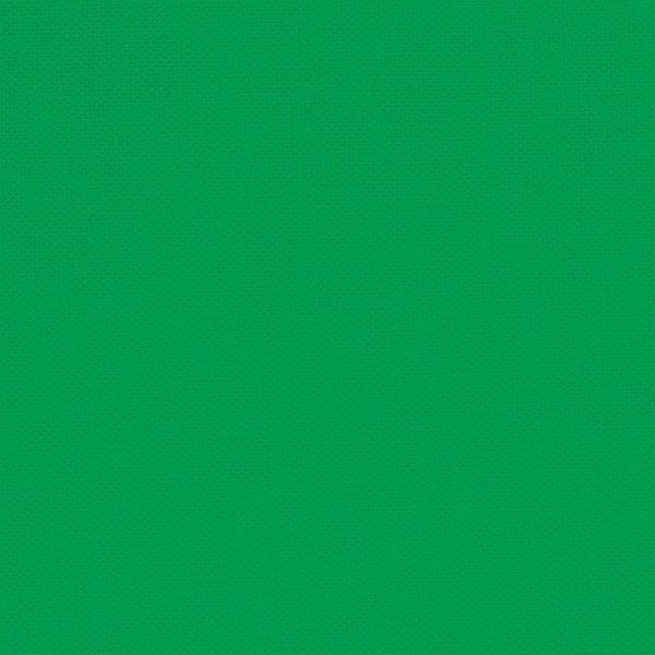 108003 Solid 031 Aloe Vera by Devonstone Collection 100% cotton