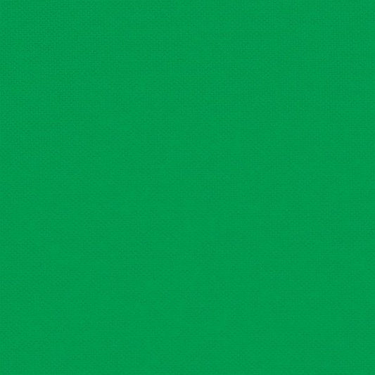 108003 Solid 031 Aloe Vera by Devonstone Collection 100% cotton