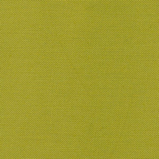 108005 Solid 103 Mid Green by Devonstone Collection 100% cotton