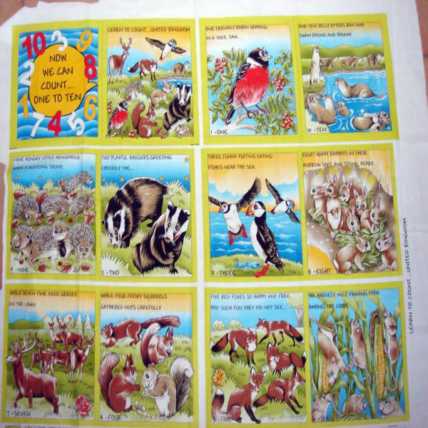 104032 Britannia Counting Fabric Cloth Book Panel by Nutex